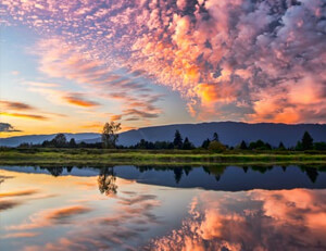 现代简约纯色窗帘为客厅背景墙增添时尚氛围