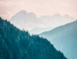 惠阳区车窗帘安装服务推荐